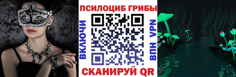 Купить закладки  Нурлат  Псилоцибиновые грибы Psilocybine cubensis 